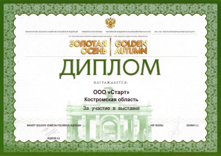 Диплом за участие в выставке "Золотая осень 2012"