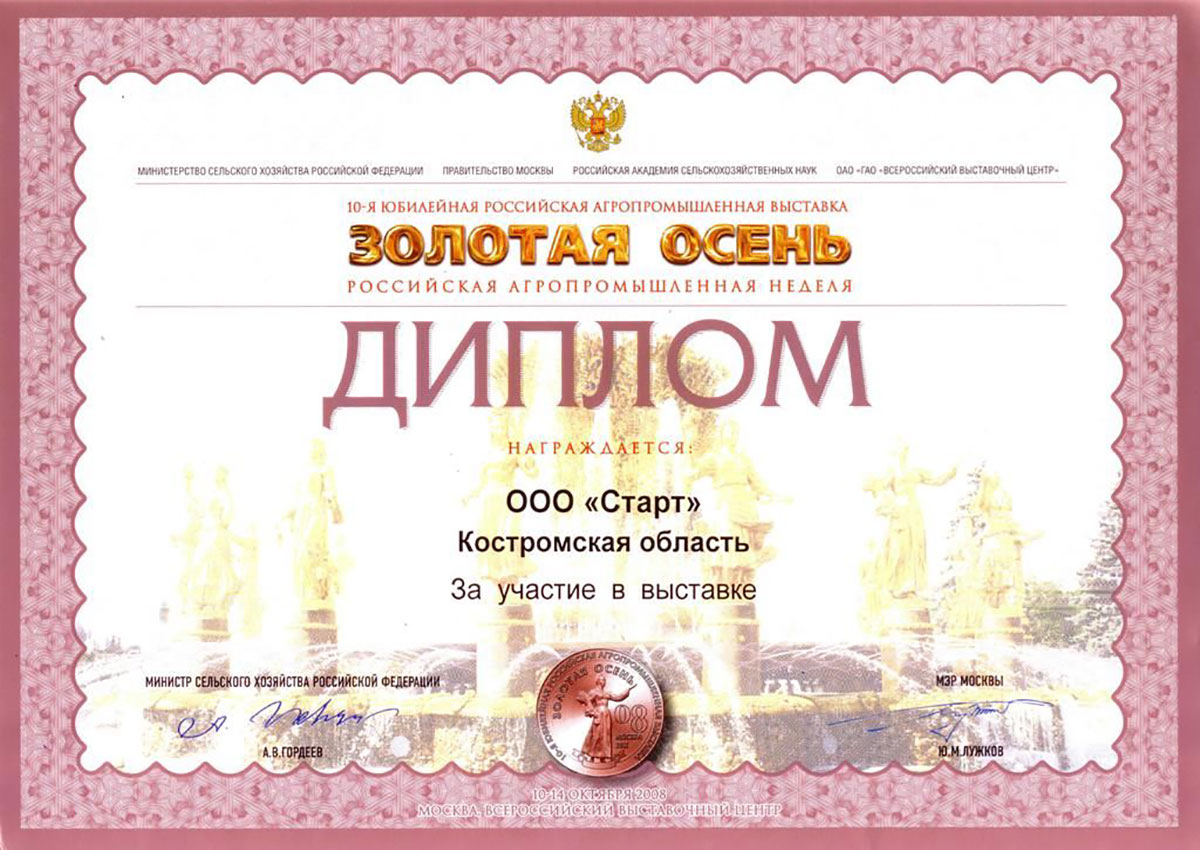 Диплом за участие в выставке "Золотая осень 2008"