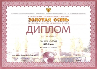 Диплом за участие в выставке "Золотая осень 2007"